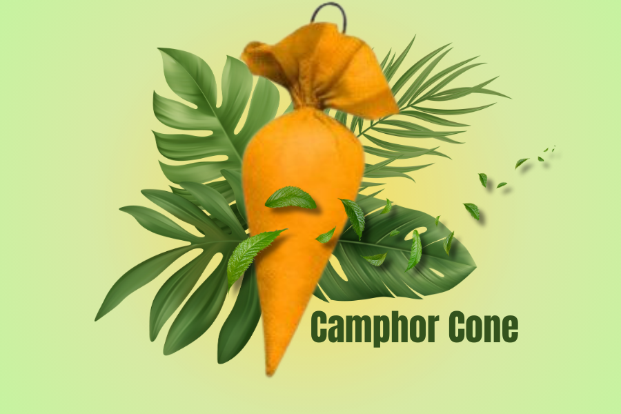 Camphor Cones: The Stylish Way to Keep Your Home Fresh & Positive